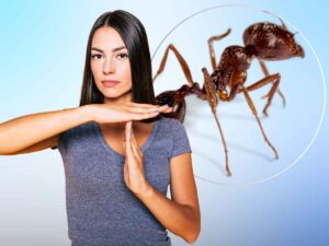 donna che dice stop alle formiche