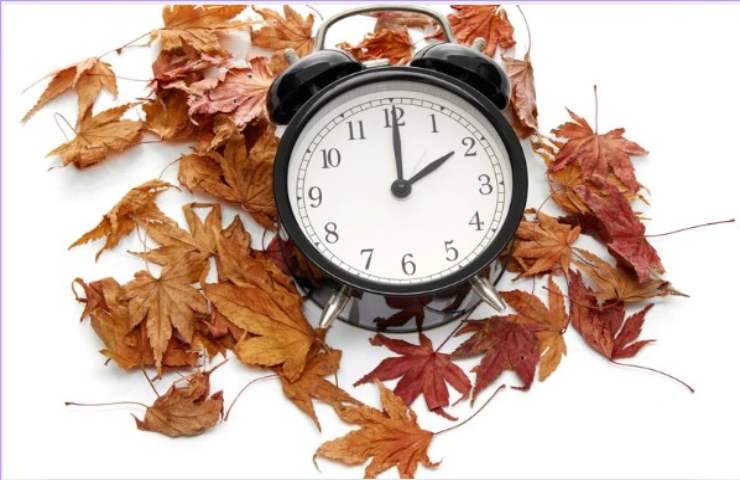 orologio si foglie secche