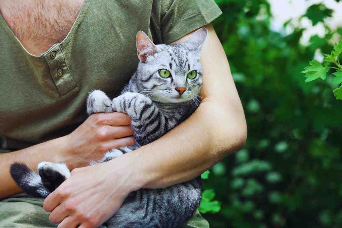 Ragazzo che tiene in braccio un gatto