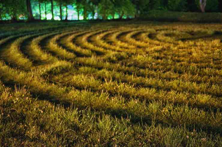 Cerchi in un campo di grano